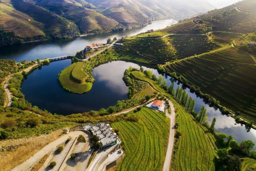 Tesla Premium Private Tours – Porto to Douro Valley