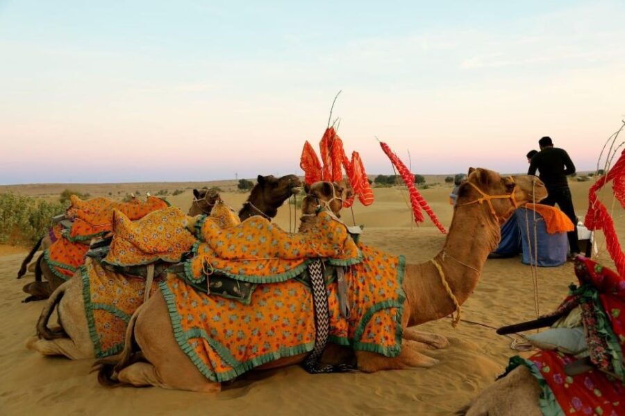 Thar Desert Adventures