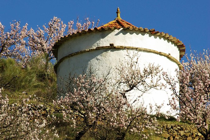 The Almond Blossom