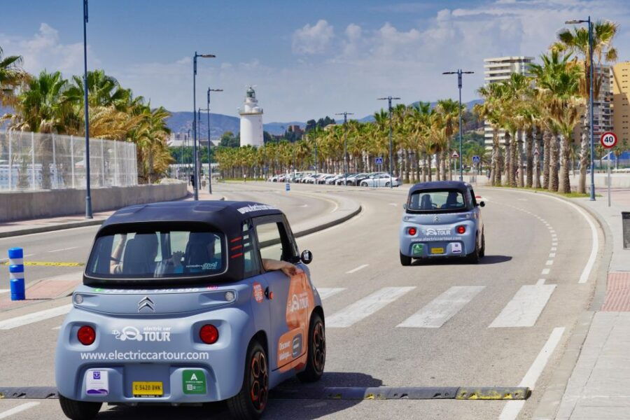 The Best of Malaga in 2 Hours by Electric Car