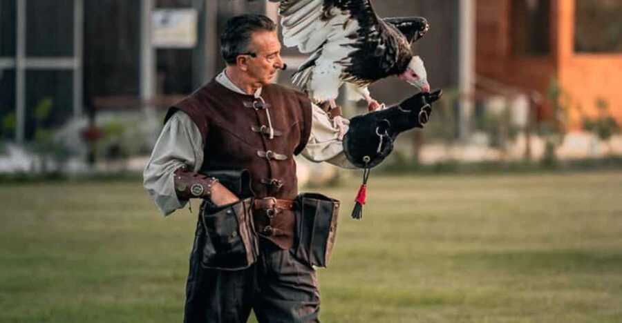 The Court of the Falconer Masseria Mazzetta