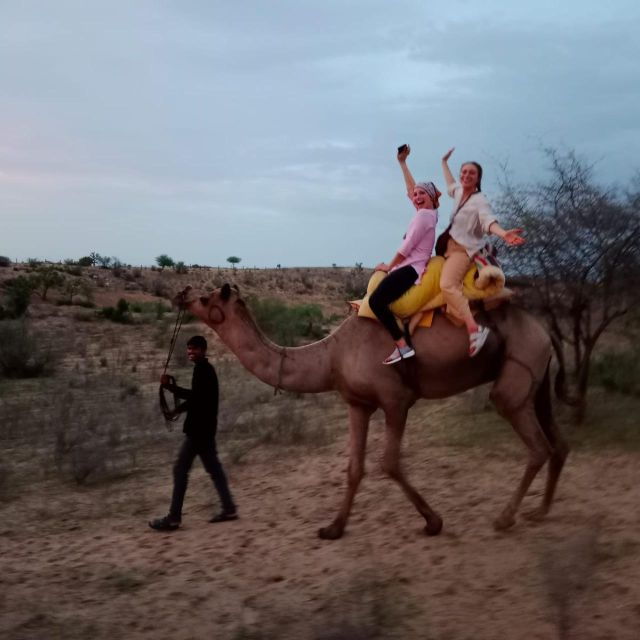 The Real Jodhpur Camel Safari In Desert Wita Marwadi Dinner - Dining Experience