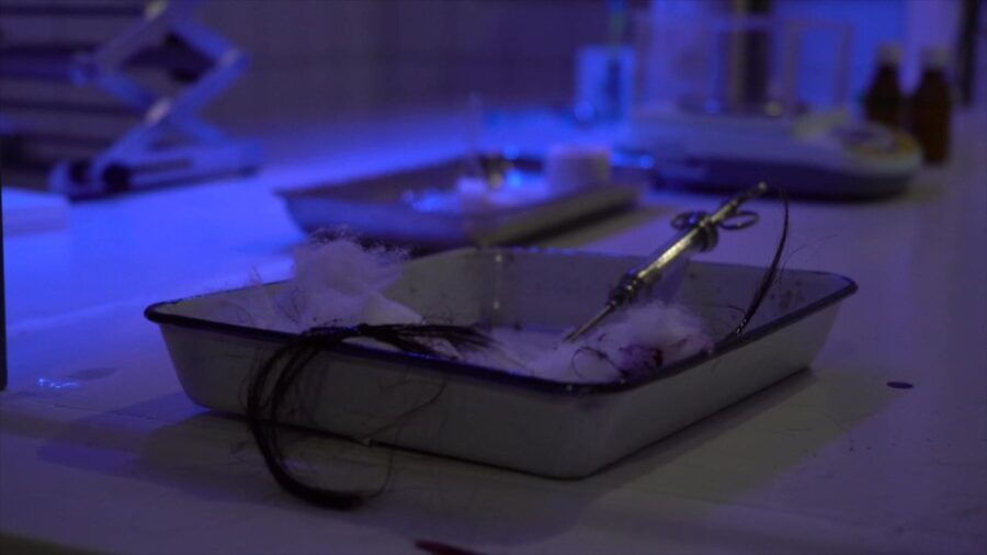 The Trip: Immersive Experience - - Good To Know