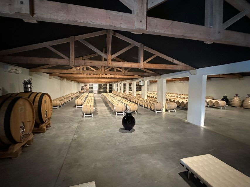 The Ultimate Bordeaux and Medoc Wine Tour – Van