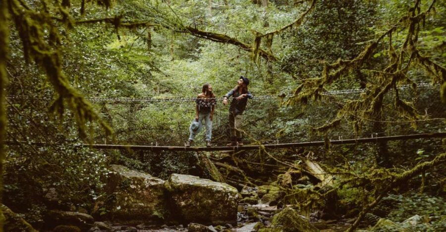 The Wonders of Arifat: A Journey to the Enchanted Waterfall - Exploring the Lush Greenery