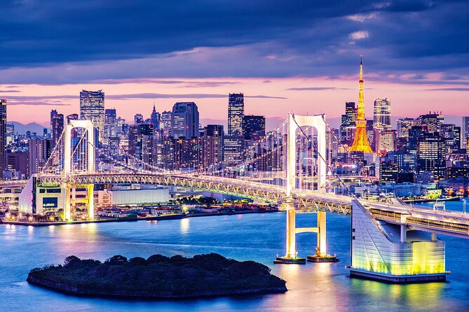 Tokyo City Private Full Day Tour With English Speaking Driver