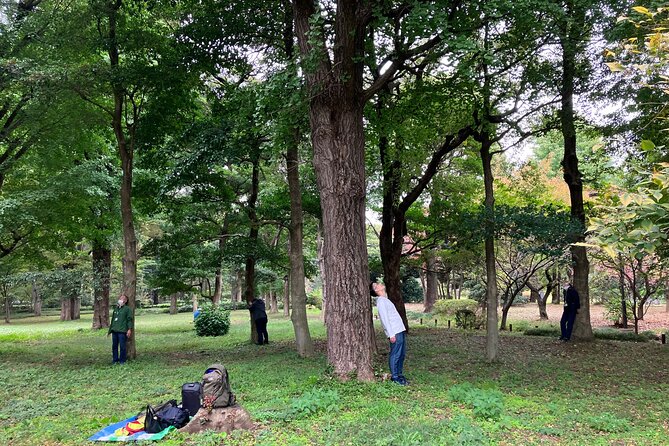 Tokyo Imperial Palace Higashi Gyoen Wellness Tour