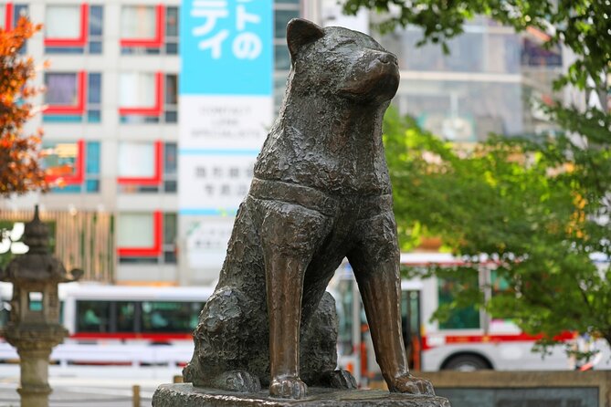 Tokyo Shibuya Crossing and Hachi the Dog Walking Tour - Good To Know
