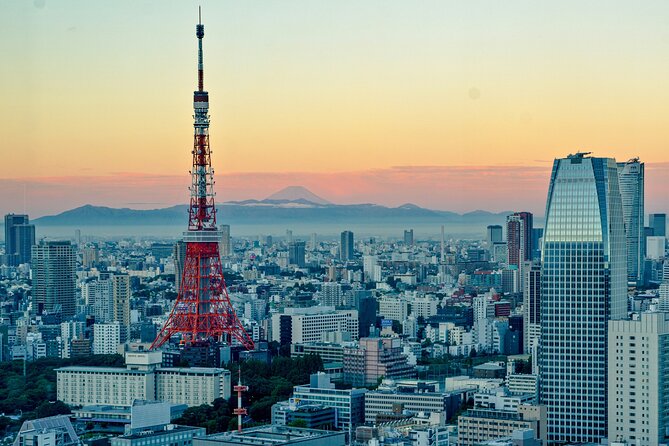 Tokyo Tailored 4 Hours Private Guided Tour - Good To Know