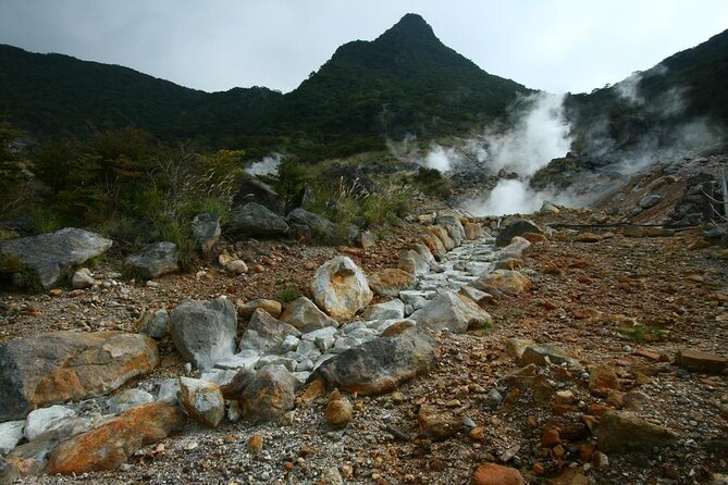Tokyo to Hakone: Mt.Fuji, Owakudani, Oshino Hakkai, and More