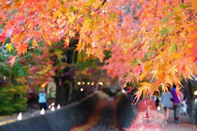 Tokyo to Mount Fuji Journey of a Lifetime Day Trip