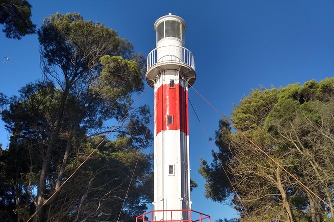 11 Best Tours In Concepcion