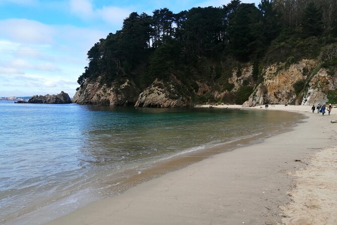 Tour Around the Shore of the Peninsula De Hualpén