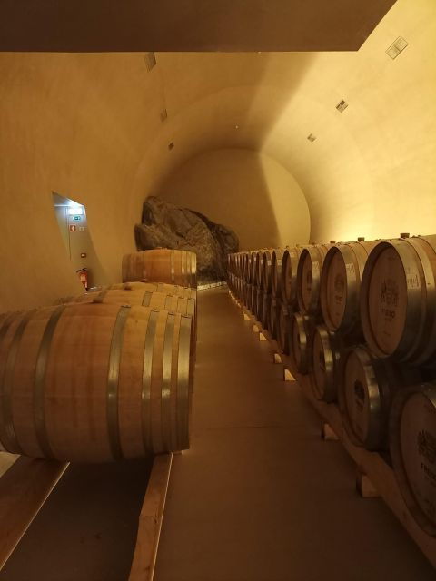 Tour of Alentejo Region: Évora, Wine Tasting, and Monsaraz