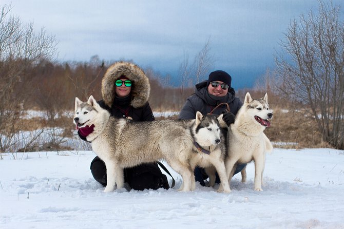 Tour to Husky Park With Cani-Cross Hike - Tour Overview