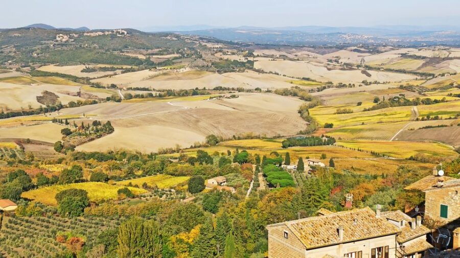 Transfer Florence-Rome With Stops in S Gimignano & Montepulc - Good To Know