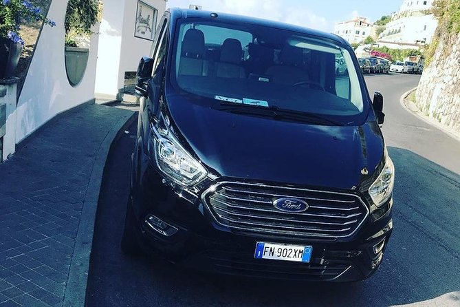 Transfer From Naples Airport to the Port of Naples - Service Details