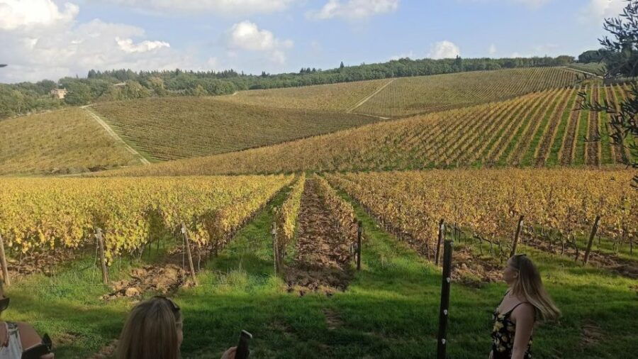 Transfer From Siena to Florence With Stop in San Gimignano