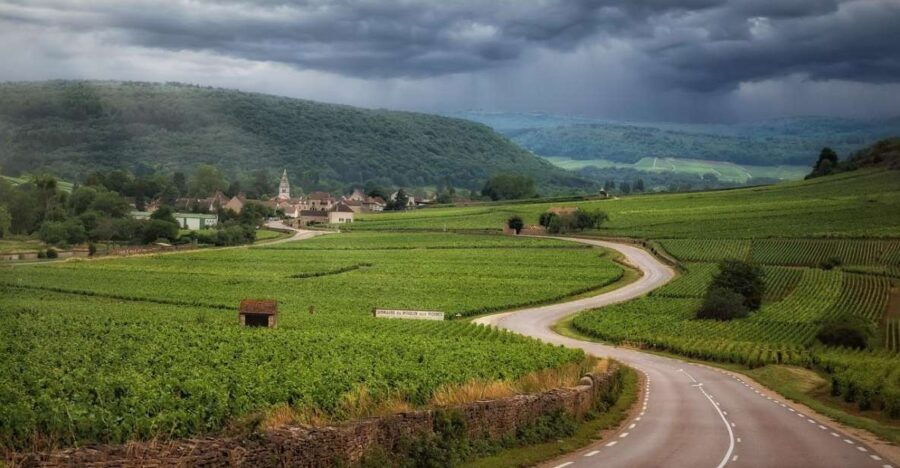 Transfer to Montefalco - Bevagna From Assisi - Description