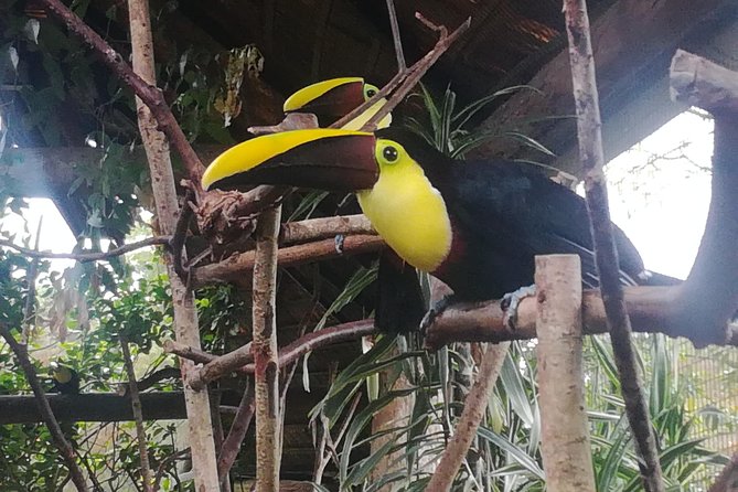 Transport From San Jose to La Fortuna