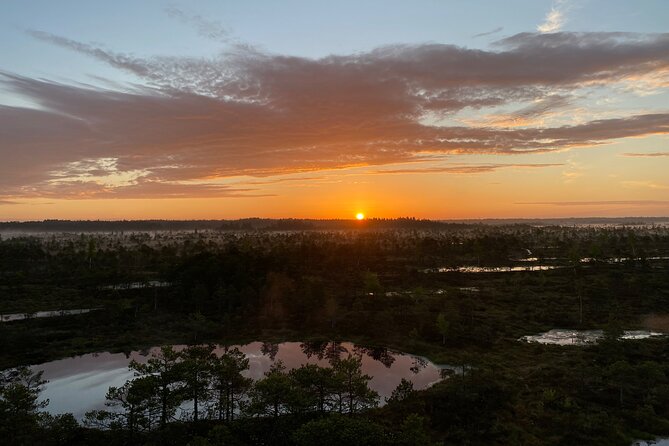 Trip to Kemeri National Park & Jurmala From Riga