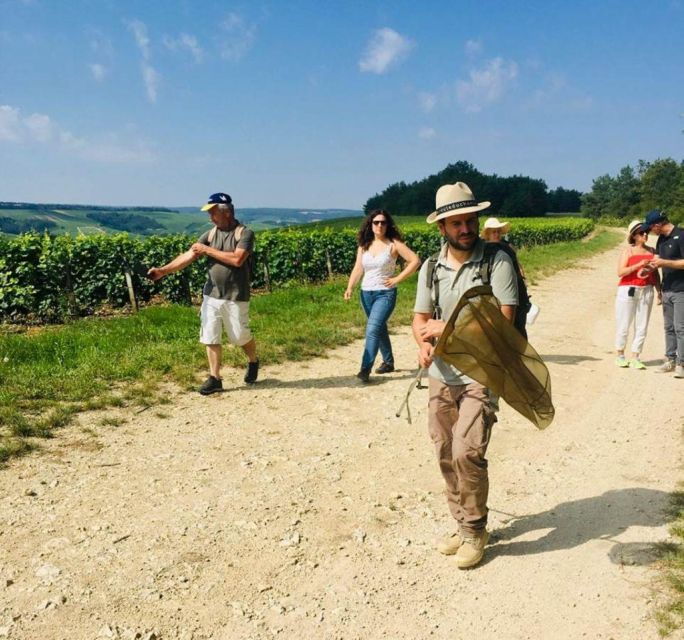 Troyes: Guided Vineyard Hike & Champagne Tasting Experience - Cancellation Policy