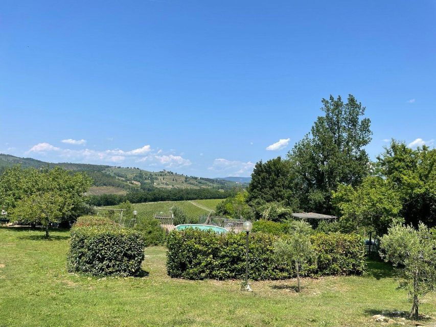 Truffle Hunting in Chianti With Pasta Cookingclass and Lunch