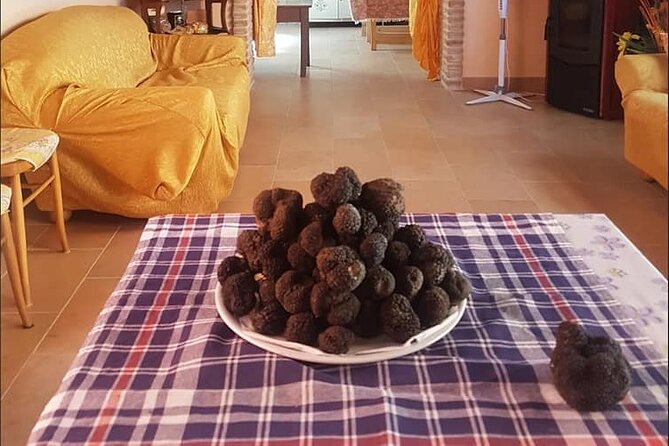 Truffle Hunting With Food Tasting - Tour Overview