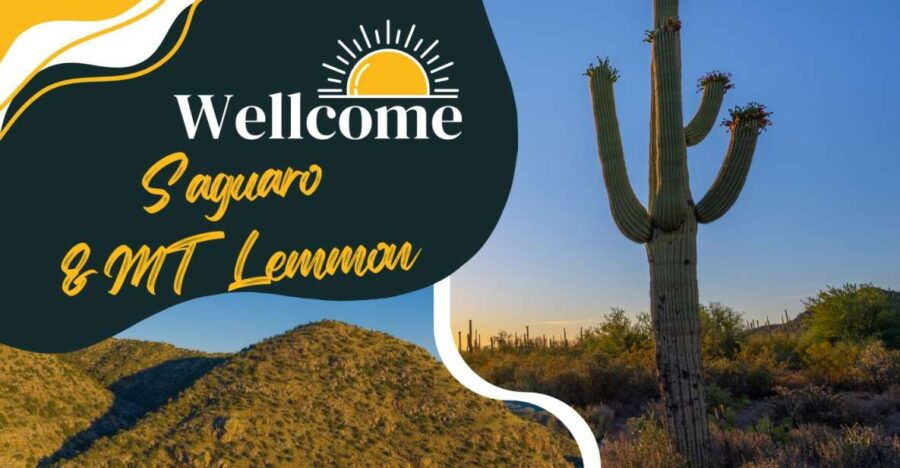 Tucson: Mt Lemmon & Saguaro NP Self-Guided Bundle Tour - Good To Know