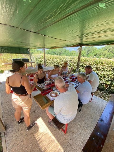 Tuscan Wine Tour by Shuttle From Lucca