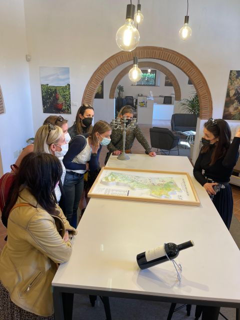 Tuscan Wine Tour Experience With Sommelier Private Driver - Tour Pricing and Duration