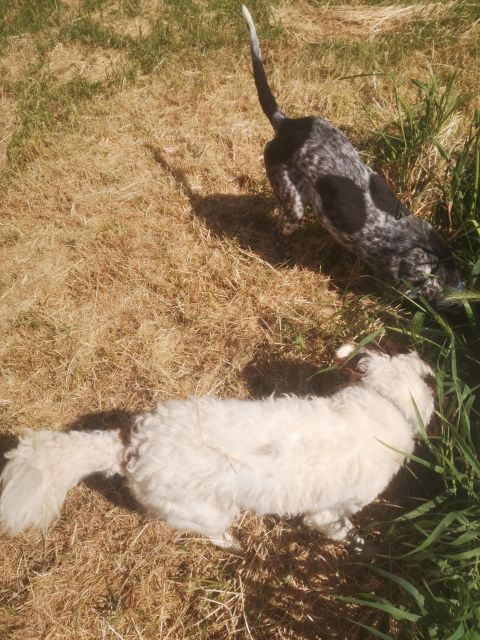 Tuscany Crete Senesi : Truffle Hunting Tour - Pricing and Duration