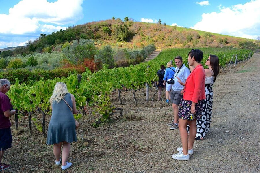 Tuscany: Small-Group Chianti Wine Tour With Lunch - Good To Know
