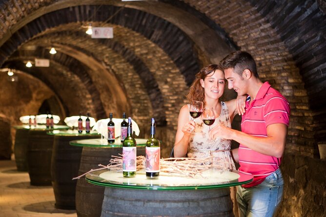 Two Winery Visits With Tastings and a Walking Tour of La Guardia - Good To Know
