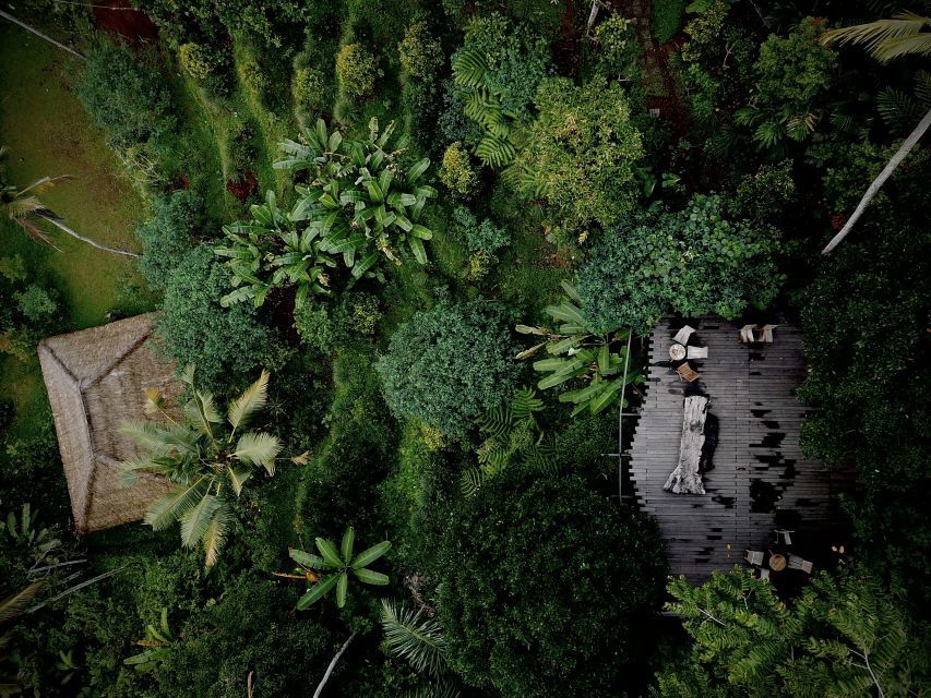 Ubud: Jungle Club, Waterfall, Market, and Tanah Lot Tour - Good To Know
