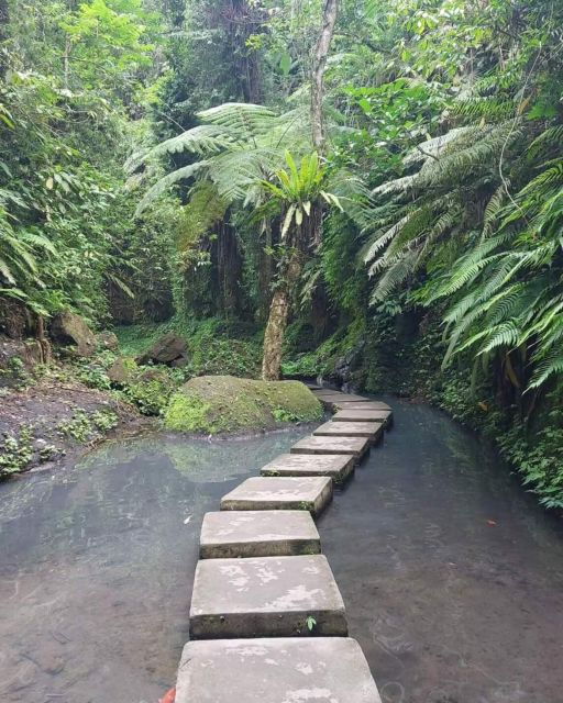 Ubud ;Monkey Forest, Waterfall and Holy Water Temple Purify - Good To Know