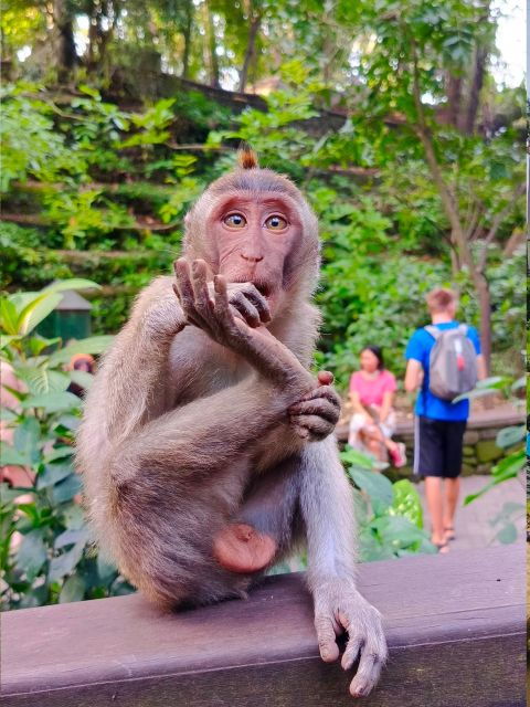 Ubud: Private Charter Car 10hours. - Good To Know