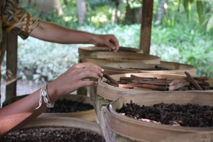 Ubud Private Tour/Rice Terrace, Tirta Empul, Waterfalls, Etc - Good To Know