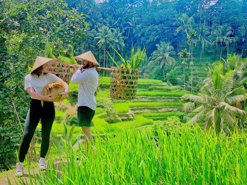 Ubud Waterfall, Coffe Plantation,And Atv Quad Bike - Transportation Information