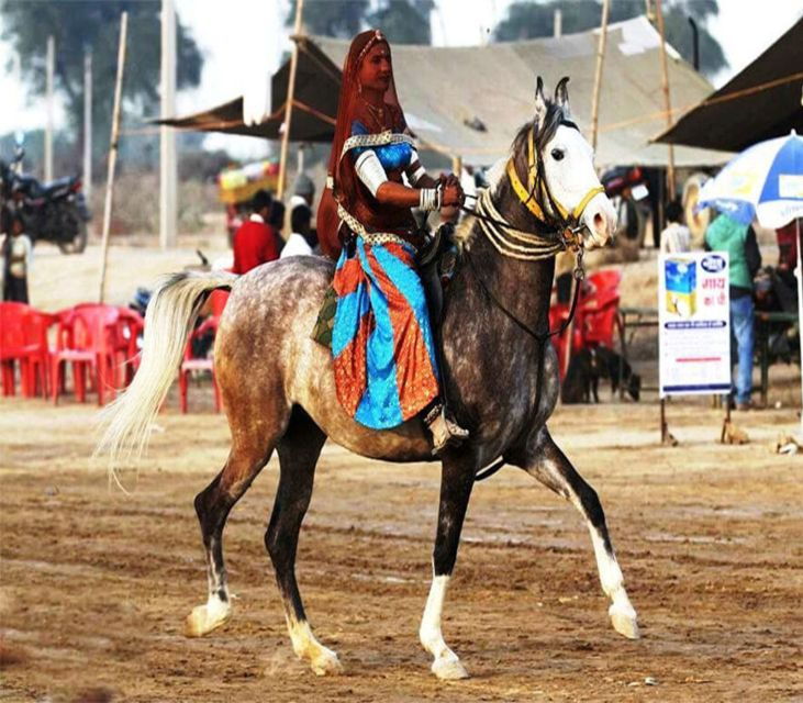 Udaipur: Evening Horse Riding Experience in the Countryside