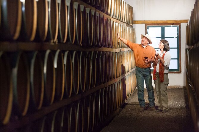 3 Best Wine Tours In Cafayate