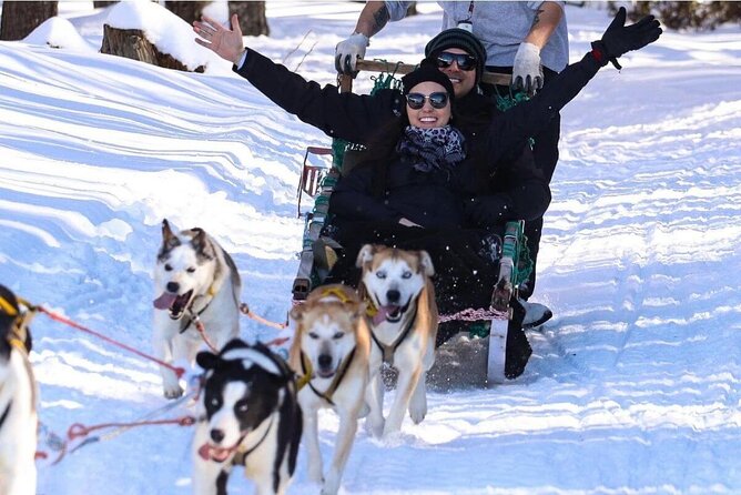 Ushuaia: Full Day Snow: Sledding With Huskies Snowmobile 4x4 - Good To Know