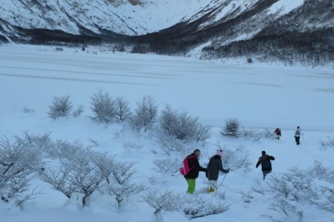 Ushuaia: White Adventure in Sleighs With Huskys