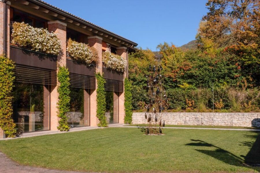 Valdobbiadene: Art and Wine-Painting Session in the Vineyard