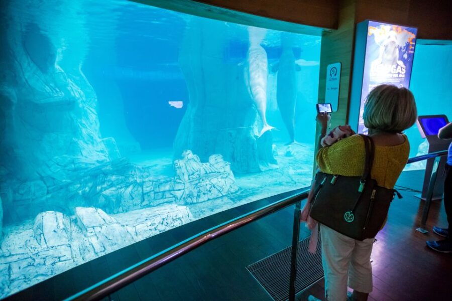 Valencia: 48-Hour Hop-On-Hop-Off Bus & Oceanogràfic Ticket - Bus Features and Oceanografic Visit