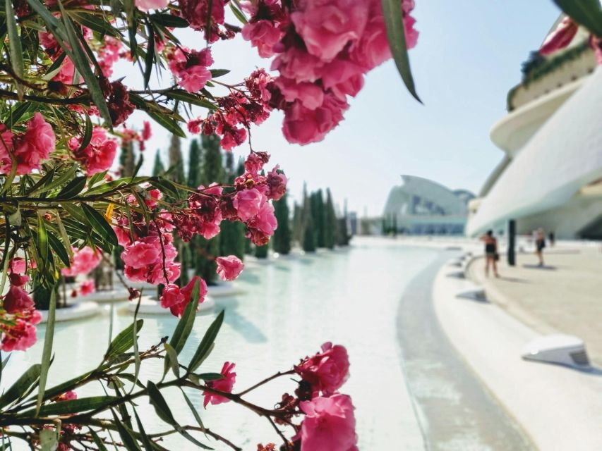Valencia: Bike Tour: From the City Center to Maritim Towns