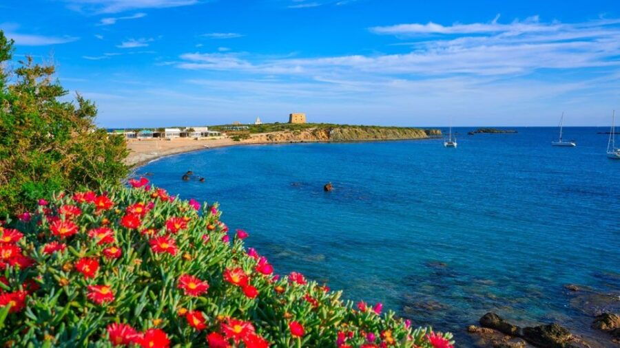 Valencia: Roundtrip Transfer to Tabarca Island