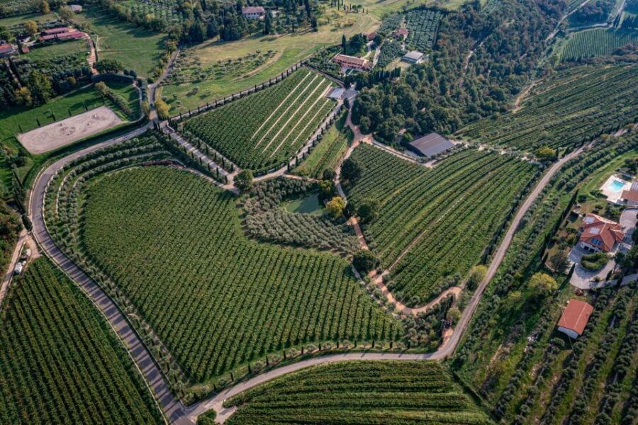 Valpolicella: Organic Winery Tour and Wine Tasting - Tour Details