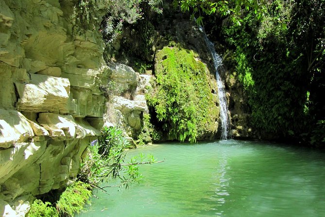 Value for Money Quad/Buggy Tour Akamas.Adonis Falls, Turtle Bay and BBQ Lunch - Tour Highlights