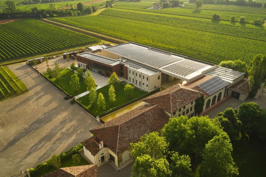 Veneto: Vineyard Tour With Wine Tasting - Inclusions